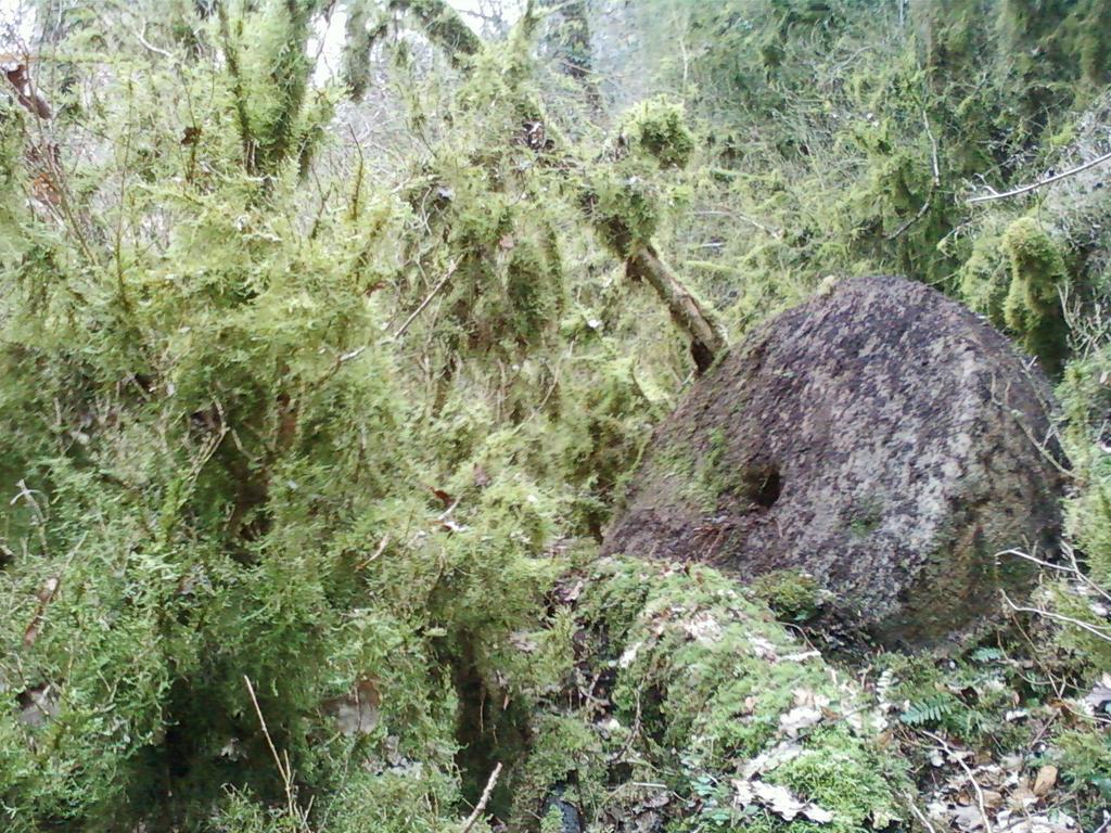 Gite De Charme Auvergne Cab'âne Brousse Extérieur photo